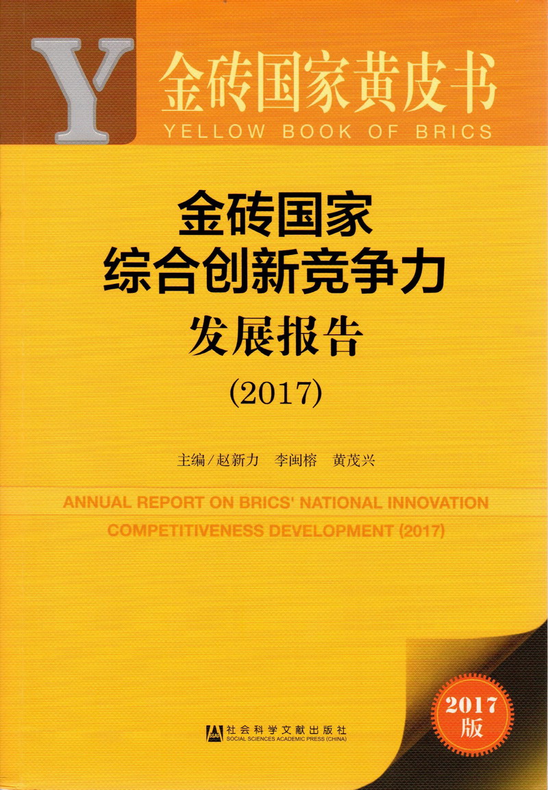 大鸡巴操大逼好舒服视频.........金砖国家综合创新竞争力发展报告（2017）